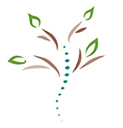 Annex Family Chiropractic