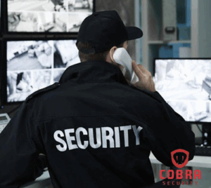 Cobra Security Services