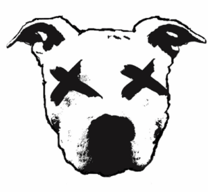 Dead Dog Records (Church St)