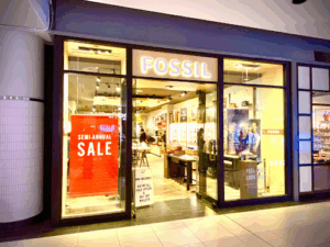 Fossil Store