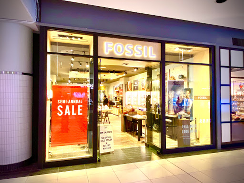 Fossil Store