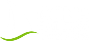 Gone Sailing Adventures