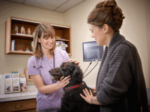 Jane Animal Hospital