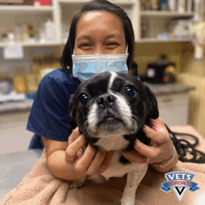 Kingston Road Animal Hospital
