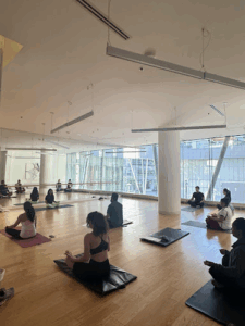 Mobile Mind Body