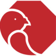 Pigeon Busters