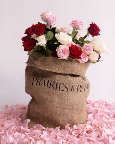 Prairies and Petals