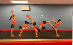Riverdale Flip and Tumble