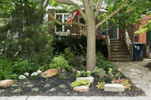 Spruced Up Property Beautification Services