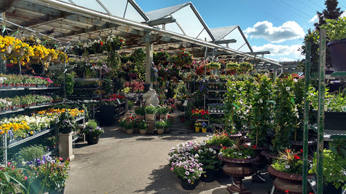 Summerhill Nursery