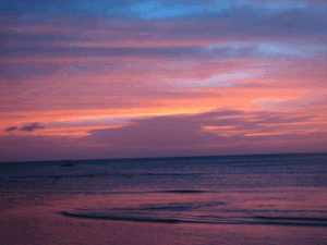 Tammy Laber Coaching and Counselling