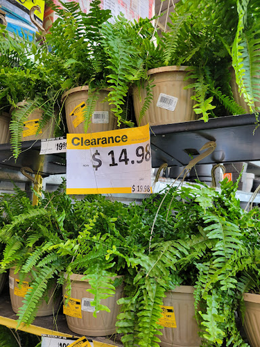 The Home Depot