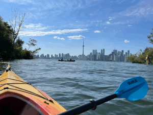 Toronto Island SUP