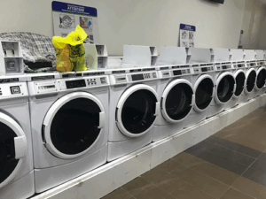 Yummi Café Laundromat